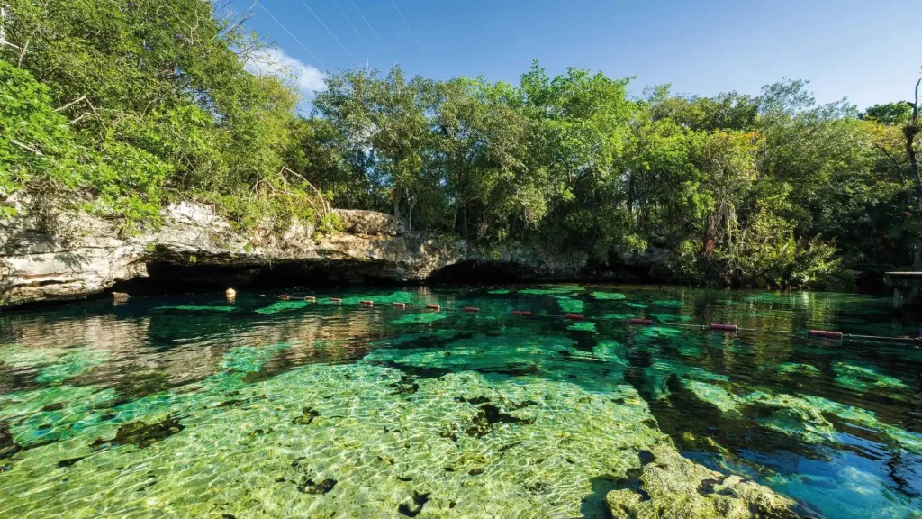 Cenotes De Bacalar : Guide Complet Des 5 Plus Beaux