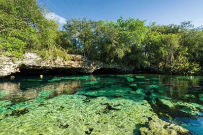 Cenotes De Bacalar : Guide Complet Des 5 Plus Beaux