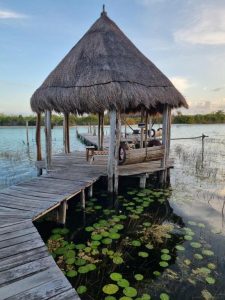 Eco Chalets