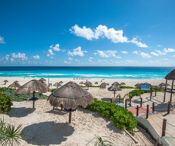 Cancun Plague